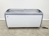 NSF 60 inchs Curved Lid Chest Glass Freezer XS-460YXL