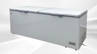 NSF 77 inchs Horizontal Double Doors Freezer 24 CU FT XF-750