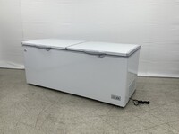 NSF 77 inchs Horizontal Double Doors Freezer 24 CU FT XF-750