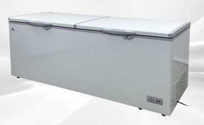 NSF 77 inchs Horizontal Double Doors Freezer 24 CU FT XF-750
