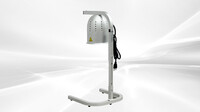 NSF Food Heat Lamp Portable Electric Warmer 250W DL1112