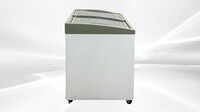 NSF 40 INS ice cream Chest Freezer 8.5 cu. ft SD351S
