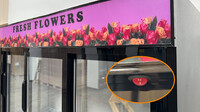 NSF 78 ins flowers Cooler Floral Refrigerator slide 78G-3D-SL-FL