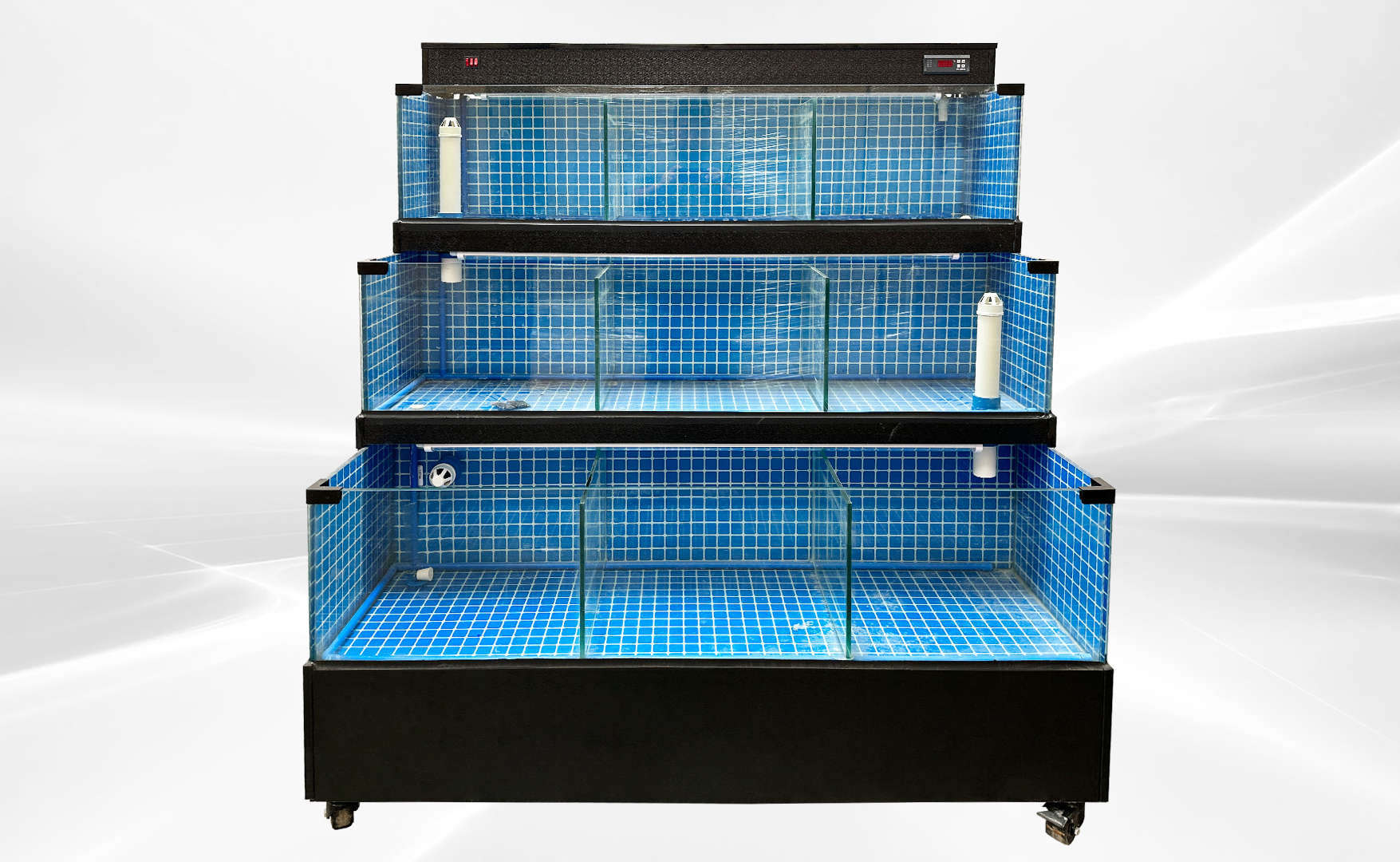 60 inches Sea Water Seafood Lobster  Display Case HL60