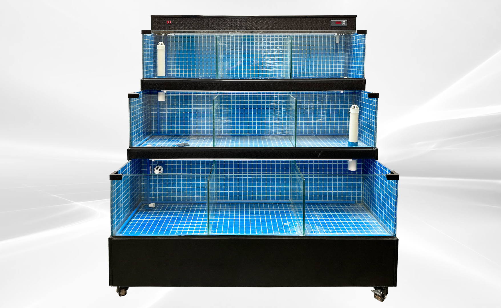 60 inches Sea Water Seafood Lobster Display Case 220v HL60