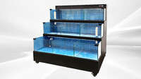 60 inches Sea Water Seafood Lobster Display Case 220v HL60