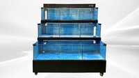 60 inches Sea Water Seafood Lobster Display Case 220v HL60