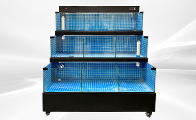 60 inches Sea Water Seafood Lobster Display Case 220v HL60