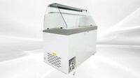 NSF 50 inch Gelato Ice Cream Freezer SD451S with glass