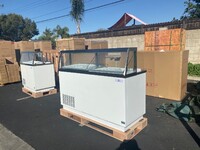 NSF 68 ins popsicle display Cabinet Freezer DPC 66P