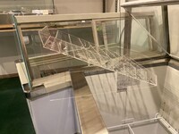 NSF 68 ins popsicle display Cabinet Freezer DPC 66P
