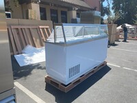 NSF 88 ins popsicle display Cabinet Freezer DPC 88P