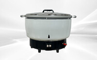 23L Rice Cooker Natural Gas e GF20Y-23L-A