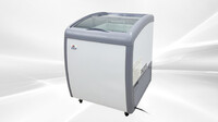 NSF 26 ins Ice Cream Glass Freezer XS-160