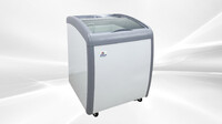 NSF 26 ins Ice Cream Glass Freezer XS-160