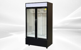 NSF 41 ins Commercial Merchandising door cooler LC-800A