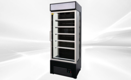 Luxurious Beverage Cooler Merchandiser Refrigerator NSF C1-G