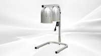 NSF Commercial Food Warmer Heat Lamp 2 500W DL2112