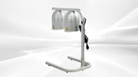 NSF Commercial Food Warmer Heat Lamp 2 500W DL2112