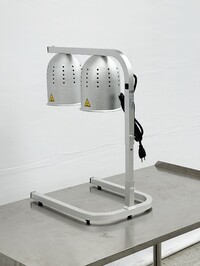 NSF Commercial Food Warmer Heat Lamp 2 500W DL2112