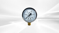 [Parts] Commercial Pressure Cooker Stress gauge GAN1
