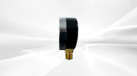 [Parts] Commercial Pressure Cooker Stress gauge GAN1