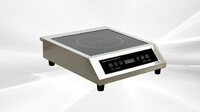 220v Commercial Induction Cooker 3500W GM-3.5KW-CP