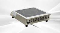 220v Commercial Induction Cooker 3500W GM-3.5KW-CP