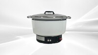 15L Rice Cooker Natural Gas GF20Y-15L-ANG