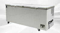 NSF 82 inch Chest Freezer 760L BD-760