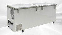 NSF 82 inch Chest Freezer 760L BD-760