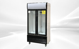 NSF 36 in two glass door upright refrigerator CLG-400BF
