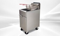 40 lbs NSF 1 PSI Food Truck Propane Deep fryer  HFRF-90B-LPG
