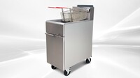 NSF 50 LBS Outdoor Food Truck Propane Deep fryer  HFRF-120B-LPG