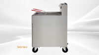 NSF 50 LBS Outdoor Food Truck Propane Deep fryer  HFRF-120B-LPG