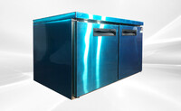 NSF 48 Ins Undercounter 2 Doors Freezer On Wheels CD-48UCF-2