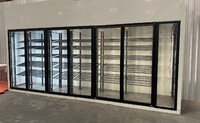 NSF Walk-In Freezer Merchandiser 5 Door with frame