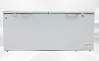 NSF 79 inches Solid Top Chest Freezer 30 cu ft XF-850