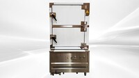 NSF Gas Steamer 2 door Steel Steam Cabinet NWESC-3-S1-2