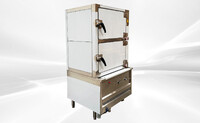 NSF Gas Steamer 2 door Steel Steam Cabinet NWESC-3-S1-2