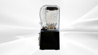NSF 2.0L Restaurant Commercial Blender HS-211D