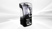 NSF 4.0L Western Restaurant Commercial Blender HS-213