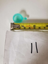 [Parts] Plastic Blue Cap