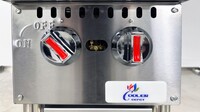 NSF 12 ins Two Burner Hotplate HWS-2
