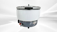 NSF 10L Liquid Propane Gas Rice Cooker CDGRC-10LP