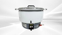 NSF 10L Restaurant Natural Gas Rice Cooker CDGRC-10NG
