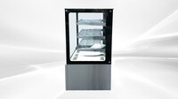 NSF 36 Ins Stainless steel Hot Show Case HW-271