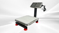 Digital Electric Weighing Platform Scale With LCD Screen ES100