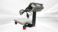 Digital Electric Weighing Platform Scale With LCD Screen ES100
