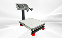 Digital Electric Weighing Platform Scale With LCD Screen ES100